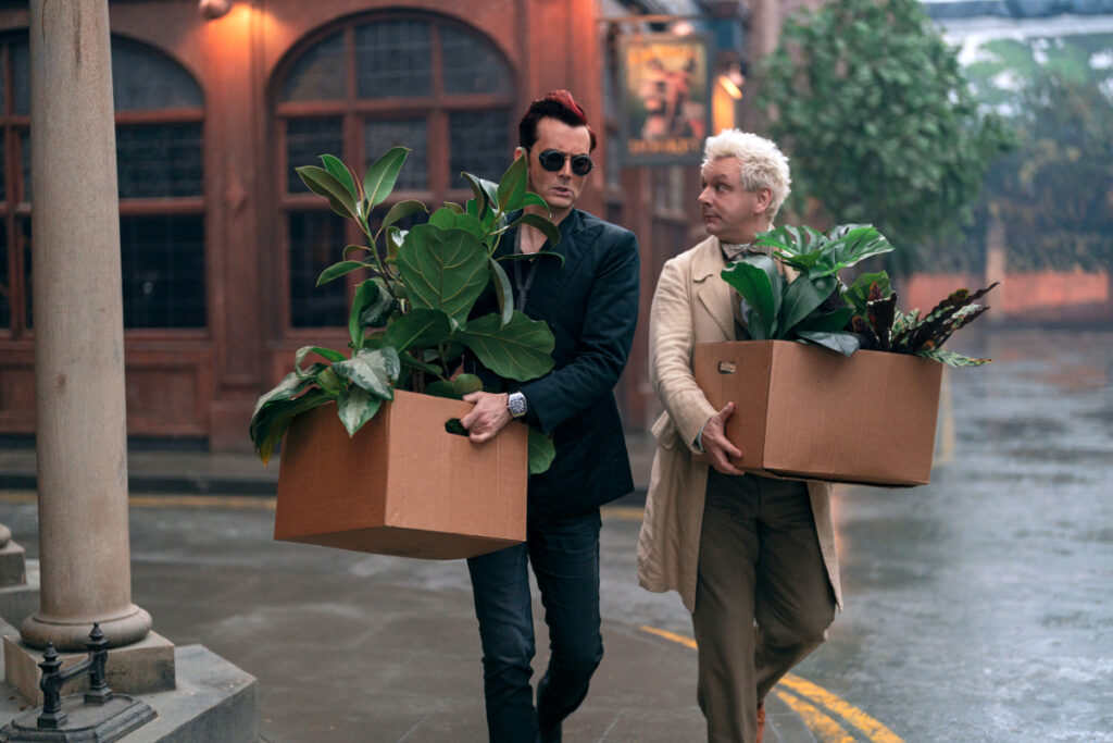 Zwei Männer tragen zwei Kartons mit Pflanzen.